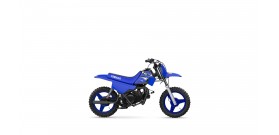 YAMAHA PW50